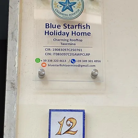 Blue Starfish *