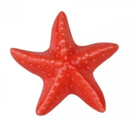 Stella Marina Azzurra Blue Starfish Taormina